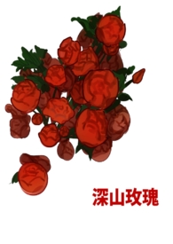 山楂玫瑰花